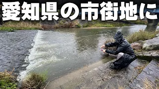 【知ってた?】問題のあの魚が、こんなところまで。