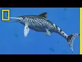 Biggest Sea Monster Fossil of Its Kind Reclassified National Geographic