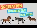 Speciation Prezygotic vs Postzygoic Barriers Forms of Reproductive Isolation