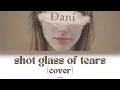 Download Lagu Shot Glass of Tears - Jung Kook (정국) Girl Cover by Dani