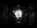 Download Lagu Avicii - Without You feat. Sandro Cavazza  [ UMF 2016 Version ] ( Live from Osaka )