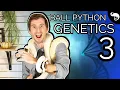 Ball Python Genetics 3 Single Gene Crosses