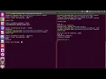 Server Client echo in Mode UDP and TCP