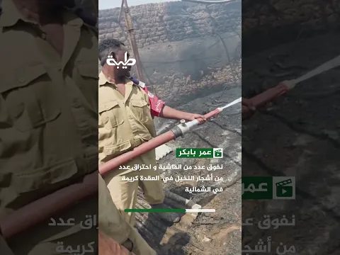 نفوق عدد من الماشية و احتراق عدد من أشجار النخيل في  العقدة كريمة  في الشمالية