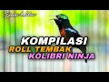 Download Lagu KOMPILASI ROLL TEMBAK KOLIBRI NINJA GACOR FULL ISIAN MATERI MEWAH COCOK BUAT MASTERAN KONIN BAHAN