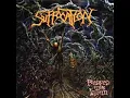 Suffocation - Depth of Depravity