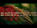 Omar Camacho, Jan Glack & Droppers (MX) - Fall (Lyrics/Letra)