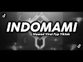 Download Lagu DJ INDOMAMI SLOWED VIRAL FYP TIKTOK