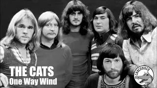 The Cats - One Way Wind