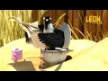 Download Lagu Magnetized | Leon the Lion | 75' Compilation | Crazy animals