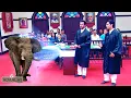 Download Lagu अदालत में KD PATHAK ने बुलाया जंगली हाथी को इंसाफ दिलाने | अदालत | Adaalat | Full Episode