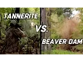 Tannerite vs Beaver Dam