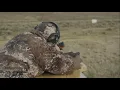 2021 The Choice - Rifle Elk Hunting with R V at R K Hunting Queen Mountain