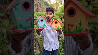 Homemade Bird House Shorts Birdhouse Savebirds Trending Viral Anandartandcraftstudio 