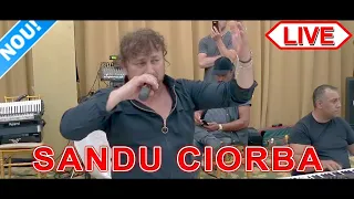 Download Sandu Ciorba - Barosan de barosan - Live Nunta  Zsuzsi si Mihaly MP3