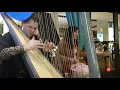 Jam Session Live Voice & Harp Krisztina Nemeth and Alexander Boldachev