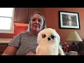 New Buddy in da House Welcoming Hedwig