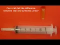 Can Labs Tell The Difference Between Real And Synthetic Urine