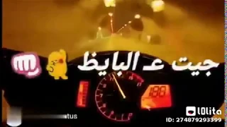افجر حاله الوتس  اغنيه جيت عالبايظ عالبايظ رضا البحراوي     دندنها