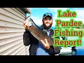 Lake Pardee Fishing Report Feb 28