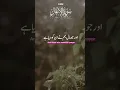 Download Lagu Surah Anfaal #surahanfaal #allahkafarman #allah #islam #quran #foryou #shorts #tarjuma