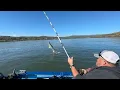 Sturgeon Fishing with a Patriot Hellcat Rod patcimmiyotti5764