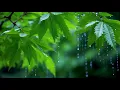 Download Lagu 두뇌를 깨워주는 집중 명상음악 🎵 기억력 강화와 스트레스 완화에 좋은 힐링 사운드
