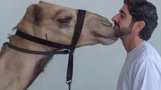 مكس  منوعات فزاع   ميحد  عيضه   الجسمي دندنها
