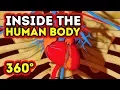 WHAT HAPPENS INSIDE YOUR BODY 360 VR