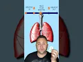 Download Lagu HEALTHY LUNGS TEST