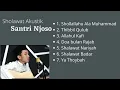 Download Lagu Sholawat akustik Santri Njoso Full album