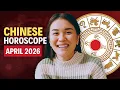 April 2026 Chinese Zodiac Who Will Be the Luckiest This Month