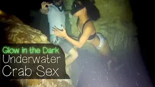 Glow in The Dark Underwater Crab Sex— Sailing Uma [Step 96]