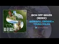 Bankroll Freddie & Young Dolph - Rich Off Grass (Remix) (AUDIO)