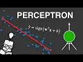 The Perceptron - Explained
