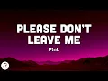 Download Lagu P!nk - Please Don't Leave Me (Lyrics)