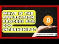 What Is the Application Process for Zoo Internships Animal Care Jobs