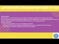 STD 12 Chapter 2 CSS