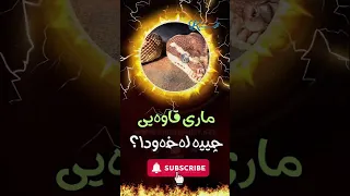 ماری قاوەیی چییە لەخەودا 