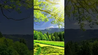 قالوا وقالوا عبدالله المهداوي رحمه الله 