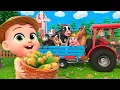 Download Lagu The Farmer In The Dell | Lalafun Nursery Rhymes \u0026 Kids Songs