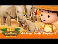 Download Lagu Emergency! ELEPHANTS to the RESCUE! | African Bush Elephant | Leo the Wildlife Ranger | #compilation