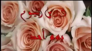 السيرة النبوية راغب السرجانى الحلقة 25 المرحله المدنية 11 يوم احد 