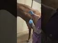 Skill 40 Intramuscular Injection