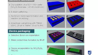CMOS Compatible Silicon Nanowires On A Chip Fabrication And Pre Clinical Validation 