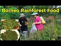 Download Lagu Life in a Borneo Longhouse | Picking \u0026 Cooking Fresh Vegetables🌿
