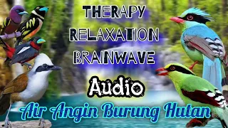 Download Terapi Relaksasi Brainwave MP3