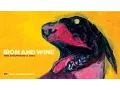 Download Lagu Iron \u0026 Wine - The Shepherd's Dog [FULL ALBUM STREAM]