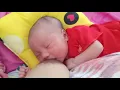 Download Lagu menyusu sang ibu adalah aktifitas bayi yang wajib 😘agar ia sehat dan berkembang cepat(2)