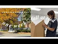 a busy week at art school risd